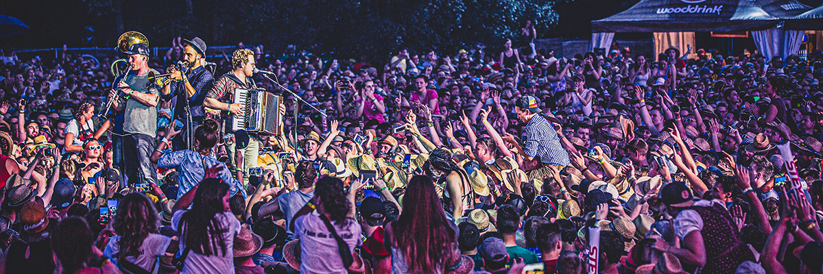 Banner Woodstock der Blasmusik - Fäaschtbänkler